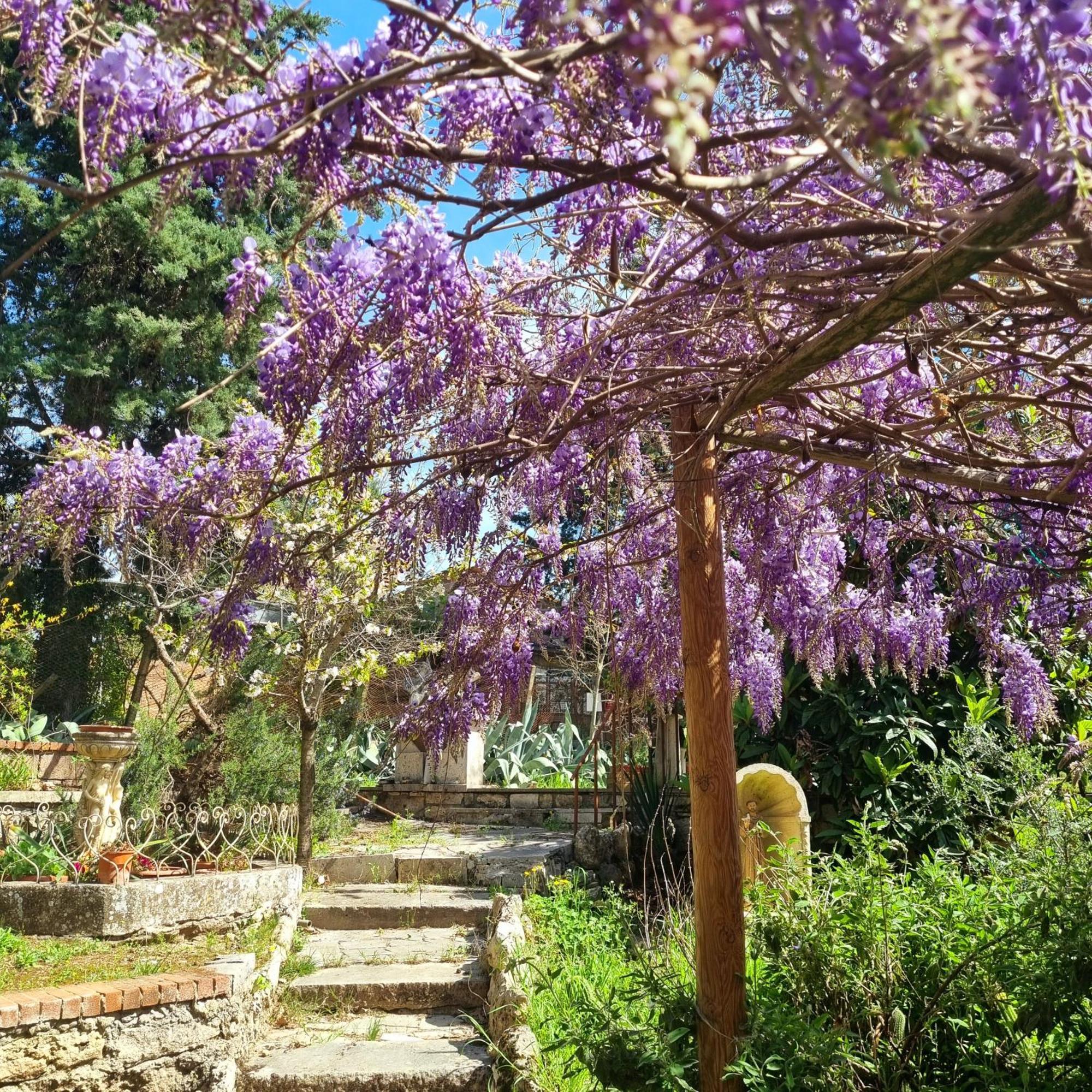 Hotel San Francesco Rapolano Terme Exterior foto